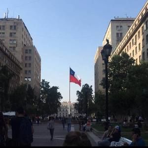 Meet your Posher, Paulina